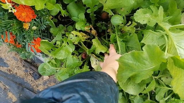 6.10.24 обзор смотреть онлайн