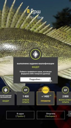 Трофейный Ерш, 2 дня Охоты, Русская Рыбалка 4, Russian Fishing 4