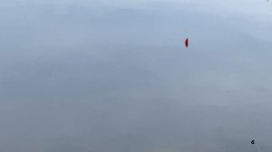 Ловля на макароны! Подсак нужен больше