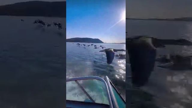 Нам по пути смотреть онлайн