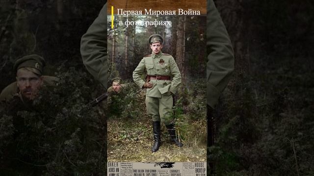 #WWI Штабс-капитан Богуцкий #история #history #wwishorts #перваямировая