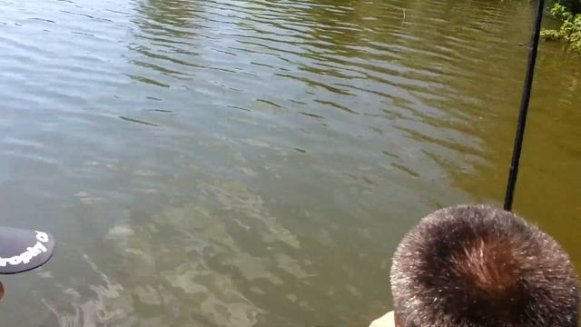 Матч Fox FX смотреть онлайн