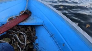 Bait finesse system 🔥10/22/2022 Jackson Kawasemi Rhapsody 16 fish session afternoon session