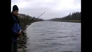 Проводка тонущего джерка поздней осенью