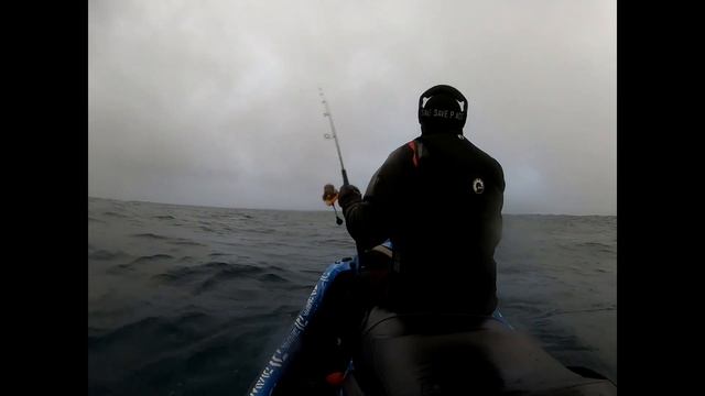 Snapper fishing in the shallow with the latest Daiwa Sol 3000 смотреть онлайн