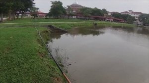 #9 Shimano curado 71hg #shimano #shimanocurado #shimanofishing #snakehead #snakeheadhunting