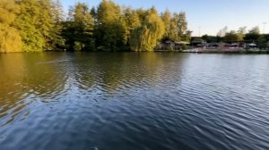 ПРИМАНКА №1 ЛЕТОМ - ЛОВЛЯ ХИЩНИКА НА ТЕЙЛ-СПИННЕРЫ. СЕКРЕТЫ ЛОВЛИ