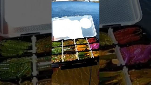 Силиконовые приманки на окуня от 💥 Esfishing 💥 РОЗЫГРЫШ!!! #микроджиг #окуньнаотводной #мормышинг
