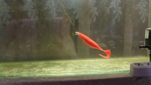 RELAX  Turbo Twister 7 д в аквариуме от ТАТ Форм