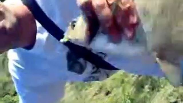 лещ на микроджиг смотреть онлайн