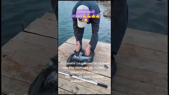 Культурный отдых 👍 отдых около Астаны #fishing #рыбалка в Казахстане #красный горняк#форель смотреть онлайн