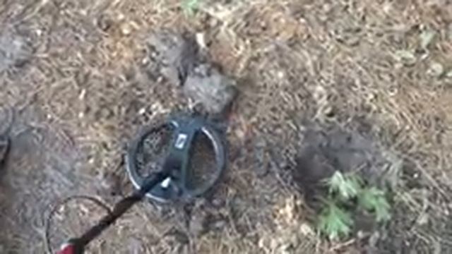 Рассыпуха!!! Коп монет по весенним проталинам смотреть онлайн