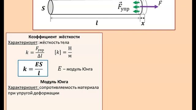 Рассмотрение темы: "Коэффициент жёсткости. Модуль Юнга" #физика #школа #самара