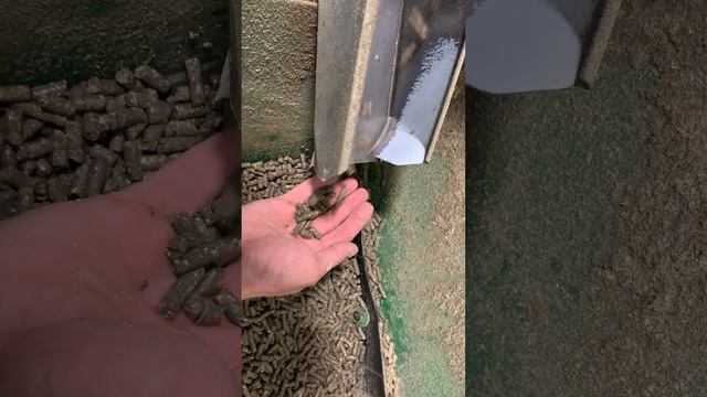 Гранулювання корму 6мм гранула смотреть онлайн