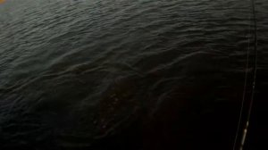 Ловим щуку на DAIWA Morethan Crosswake 111 SSR.Pike Fishing.