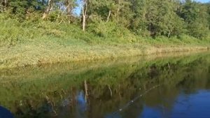 Рыбалка на реке Угра июнь 2024