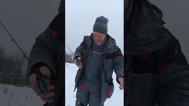 Старая ,добрая рысь! смотреть онлайн