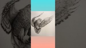 Бик яхшы сабак алды Ябалак.А.Алиш