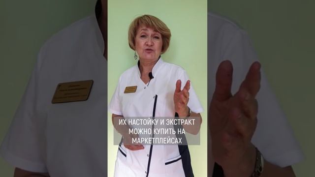 ► ПОТЕНЦИЯ И ЯКОРЦЫ смотреть онлайн