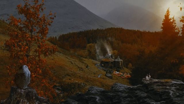 Осень в Хогвартсе 🍂 Хижина Хагрида ◈ Harry Potter inspired Ambience - Falling Leaves + Rain