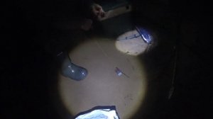 Ловля налима на закидушки. Осенняя ловля налима.