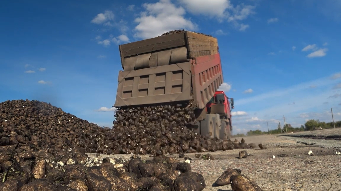 Howo 8x4 перевозка свеклы серия первая смотреть онлайн