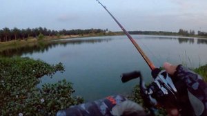 Daiwa Steez LTD SV TW 7.1:1 Hyper Long Cast 80meter / 260 feets