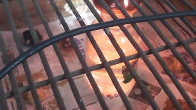 19 день инкубации куриных яиц инкубатор Золушка смотреть онлайн