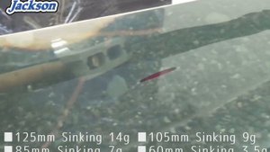 Jackson nyoro nyoro 125 mm Sinking 14 gr        /JACKSON-TURKEY