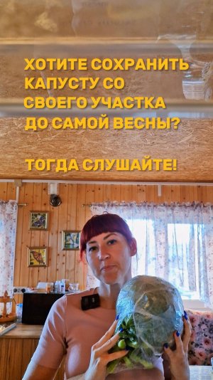 Как сохранить капусту до весны?