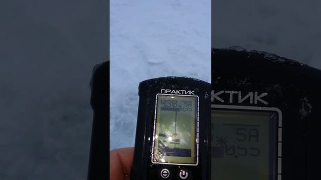 Эхолот Практик 6 Pro идентификация рыбы смотреть онлайн