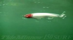 DUO Tide Minnow 150 Surf