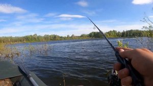 Обзор микроджигового спиннинга FMAG Volcanic. Первый тест крупными окунями