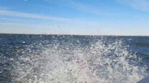 Лодка камчатка, охота за пелядью. Оз Сартлан.