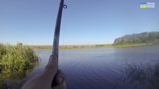 Крупний карп на фідер смотреть онлайн