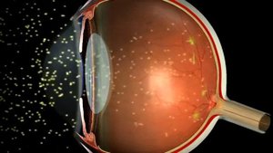 Как работает наше зрение?