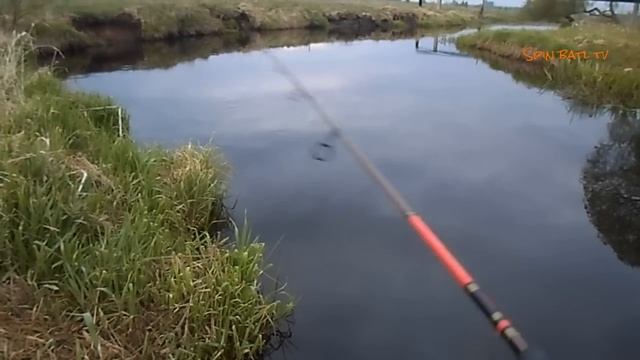 Майская щука на воблеры.Разловил обновку IMA Flit 120! смотреть онлайн