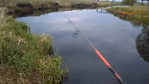 Майская щука на воблеры.Разловил обновку IMA Flit 120!