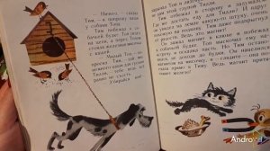 ЗНАМЕНИТЫЙ УТЕНОК ТИМ. Часть 2.