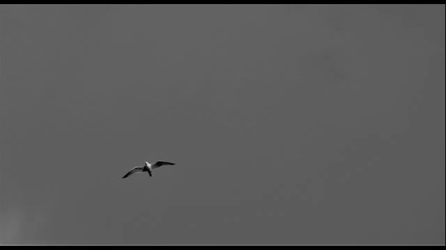 Radetsky - Kiss the Sky смотреть онлайн