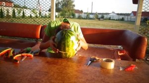 DIY Шлем виртуальной реальности из арбуза