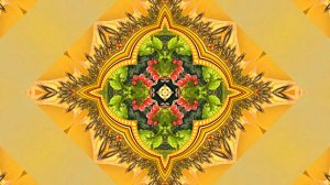 ФотоШоу PRO!!! Проекты ФотоШоу PRO! Проект 129 Осенние Восхитительные Цветочные веера 7!!!