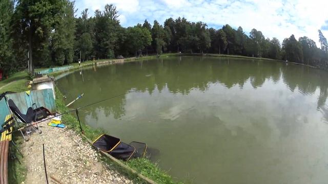 ловля сома часть 2!!!Сом на поплавок!!! ОЛьгово #fishing #рыбалка #сом#ловлярыбы