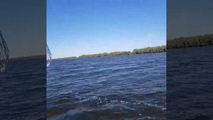 Ока неман 400dc рыбалка