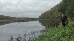 Рыбалка на реке Луга. Станция Клённа. В поисках хищника!
