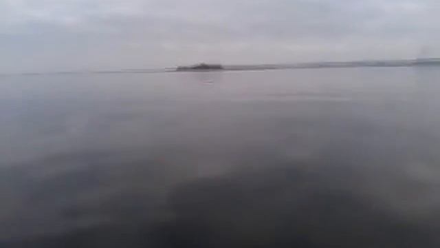 Неожиданный трофей за 16 килограмм смотреть онлайн