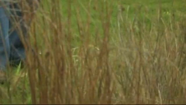 SPRO Airbody Shads смотреть онлайн