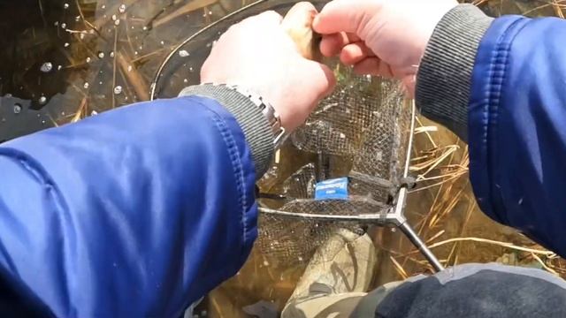 23 марта 2024 г. Открытие фидера весной Ульяновск смотреть онлайн