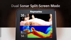 Raymarine Dragonfly