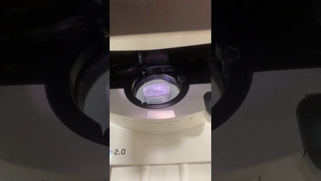 Сканування по фото! #howitsmade #lens #glasses #blueblockers смотреть онлайн